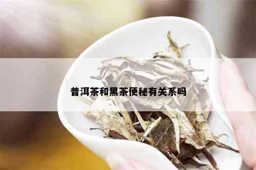 普洱茶和黑茶便秘有关系吗