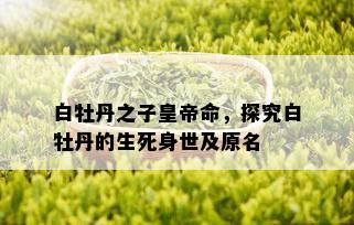 白牡丹之子皇帝命，探究白牡丹的生死身世及原名