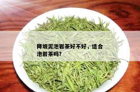 降坡泥泡岩茶好不好，适合泡岩茶吗？