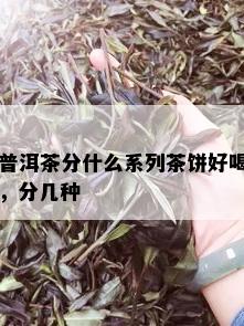 普洱茶分什么系列茶饼好喝，分几种