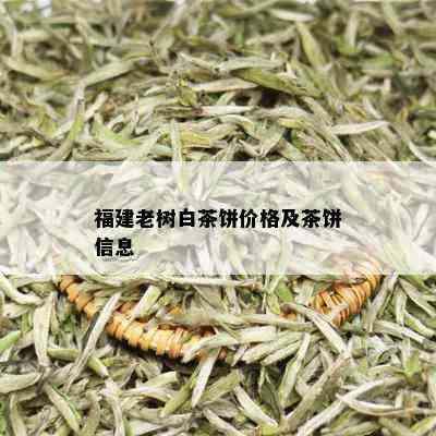 福建老树白茶饼价格及茶饼信息