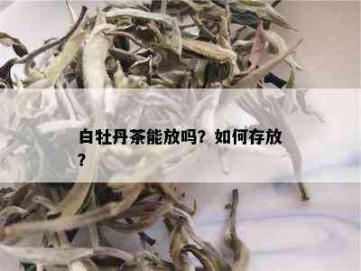 白牡丹茶能放吗？如何存放？