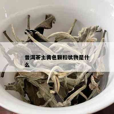 普洱茶土黄色颗粒状物是什么