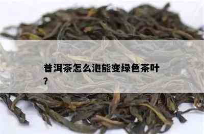 普洱茶怎么泡能变绿色茶叶？