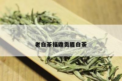 老白茶福鼎贡眉白茶