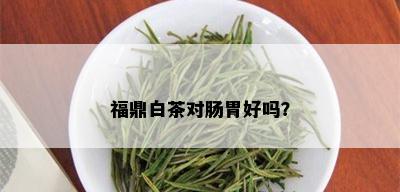 福鼎白茶对肠胃好吗？