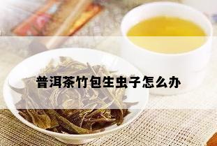 普洱茶竹包生虫子怎么办