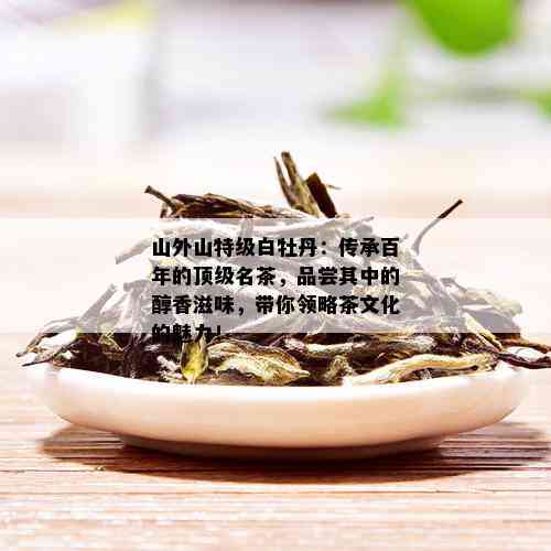 山外山特级白牡丹：传承百年的顶级名茶，品尝其中的醇香滋味，带你领略茶文化的魅力！