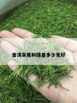 普洱茶原料储备多少克好