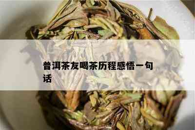 普洱茶友喝茶历程感悟一句话