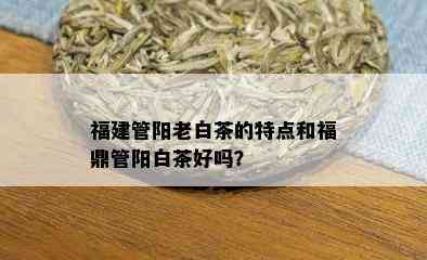 福建管阳老白茶的特点和福鼎管阳白茶好吗？