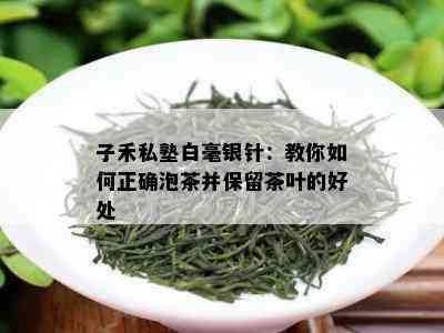 子禾私塾白毫银针：教你如何正确泡茶并保留茶叶的好处