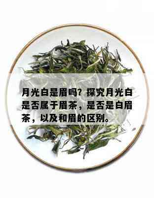 月光白是眉吗？探究月光白是否属于眉茶，是否是白眉茶，以及和眉的区别。