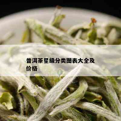 普洱茶星级分类图表大全及价格