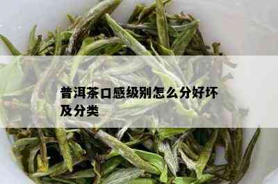 普洱茶口感级别怎么分好坏及分类