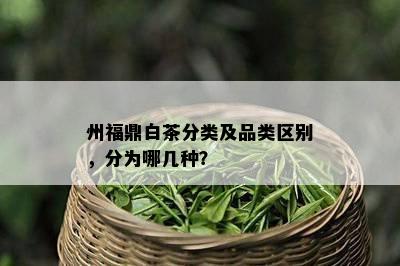 州福鼎白茶分类及品类区别，分为哪几种？