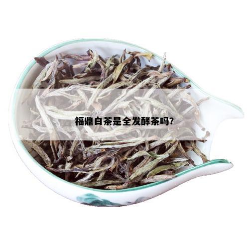 福鼎白茶是全发酵茶吗？