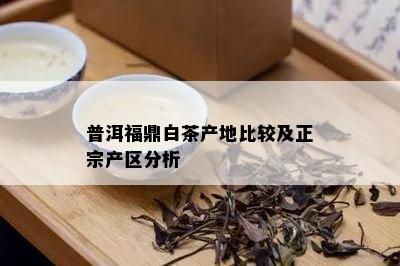 普洱福鼎白茶产地比较及正宗产区分析