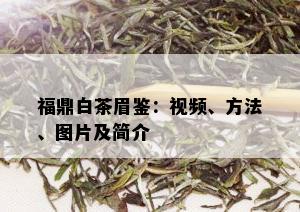 福鼎白茶眉鉴：视频、方法、图片及简介