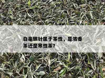 白毫银针属于茶性，是浓香茶还是寒性茶？