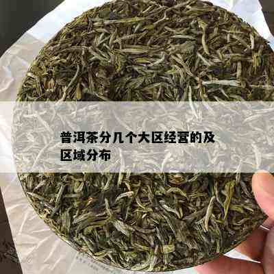 普洱茶分几个大区经营的及区域分布