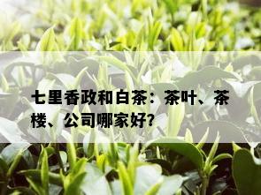 七里香政和白茶：茶叶、茶楼、公司哪家好？