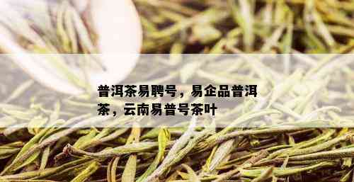 普洱茶易聘号，易企品普洱茶，云南易普号茶叶