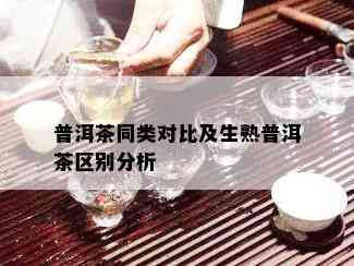 普洱茶同类对比及生熟普洱茶区别分析