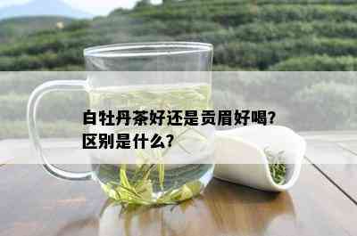 白牡丹茶好还是贡眉好喝？区别是什么？