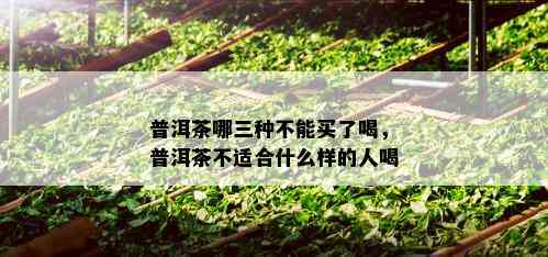 普洱茶哪三种不能买了喝，普洱茶不适合什么样的人喝