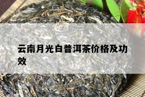 云南月光白普洱茶价格及功效