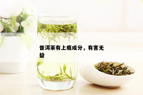 普洱茶有上瘾成分，有害无益