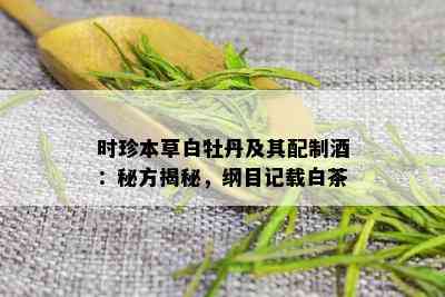 时珍本草白牡丹及其配制：秘方揭秘，纲目记载白茶