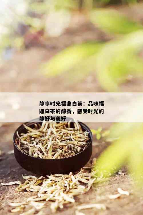 静享时光福鼎白茶：品味福鼎白茶的醇香，感受时光的静好与美好