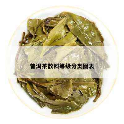 普洱茶散料等级分类图表