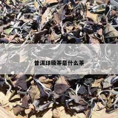 普洱印级茶是什么茶