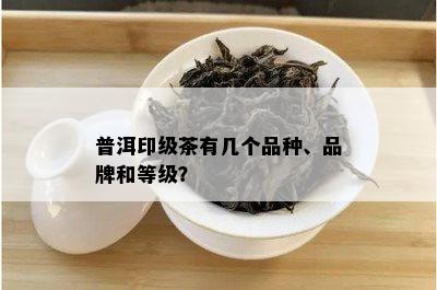 普洱印级茶有几个品种、品牌和等级？