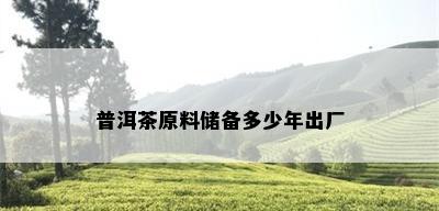 普洱茶原料储备多少年出厂