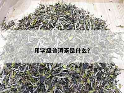 印字级普洱茶是什么？