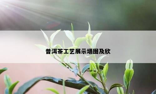 普洱茶工艺展示墙图及欣