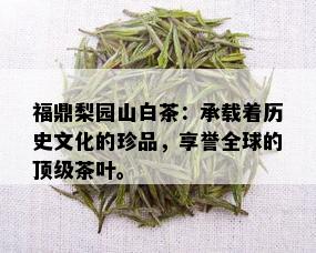 福鼎梨园山白茶：承载着历史文化的珍品，享誉全球的顶级茶叶。