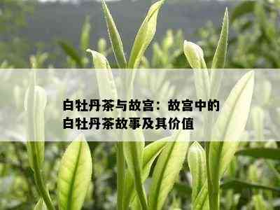 白牡丹茶与故宫：故宫中的白牡丹茶故事及其价值