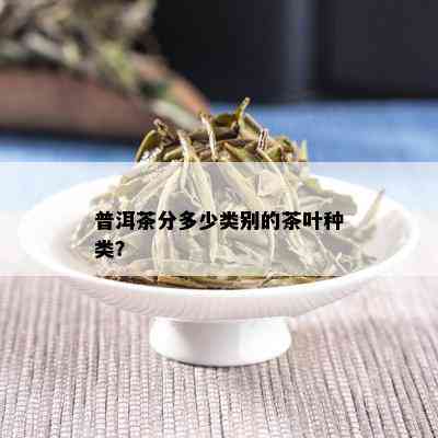 普洱茶分多少类别的茶叶种类？