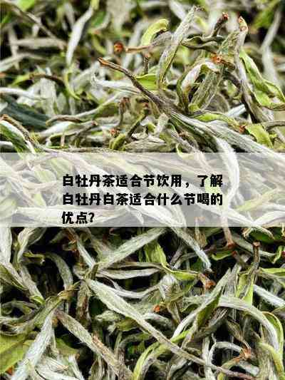 白牡丹茶适合节饮用，了解白牡丹白茶适合什么节喝的优点？