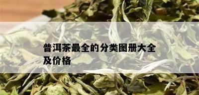 普洱茶最全的分类图册大全及价格