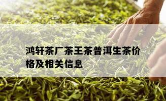 鸿轩茶厂茶王茶普洱生茶价格及相关信息