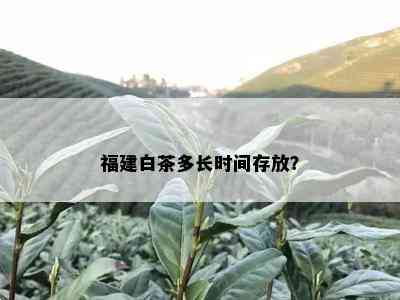 福建白茶多长时间存放？