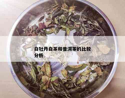 白牡丹白茶和普洱茶的比较分析