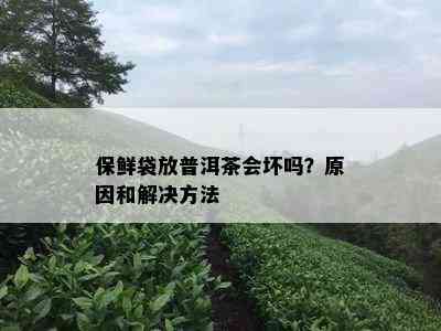 保鲜袋放普洱茶会坏吗？原因和解决方法