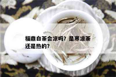 福鼎白茶会凉吗？是寒凉茶还是热的？